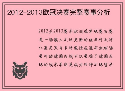 2012-2013欧冠决赛完整赛事分析